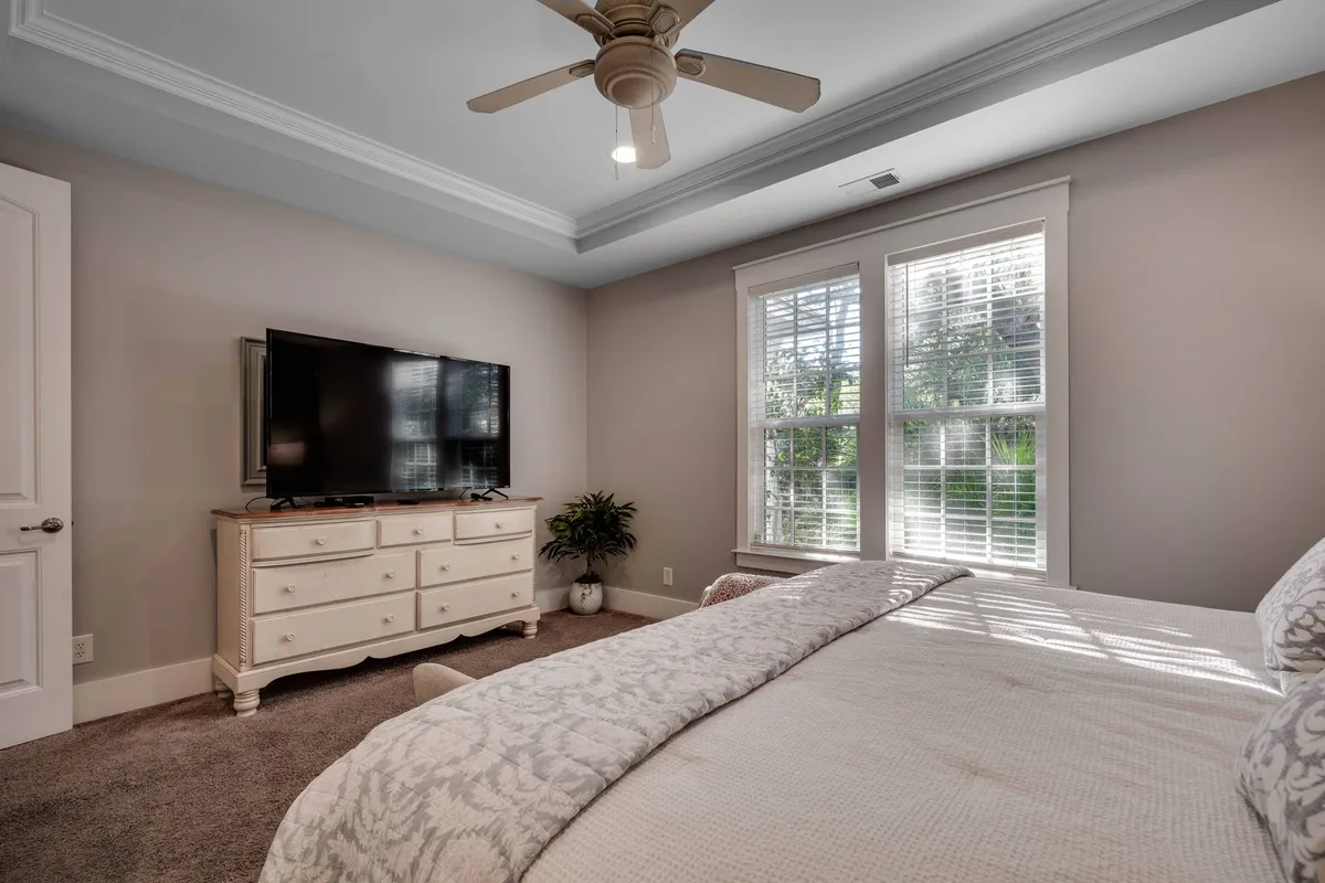 This image features a serene bedroom with a bed adorned with a decorative throw, a television on a dresser, large windows that let in abundant natural light, and an indoor plant adding a touch of nature. The layout suggests a comfortable and private space ideal for relaxation or catching up on favorite shows.