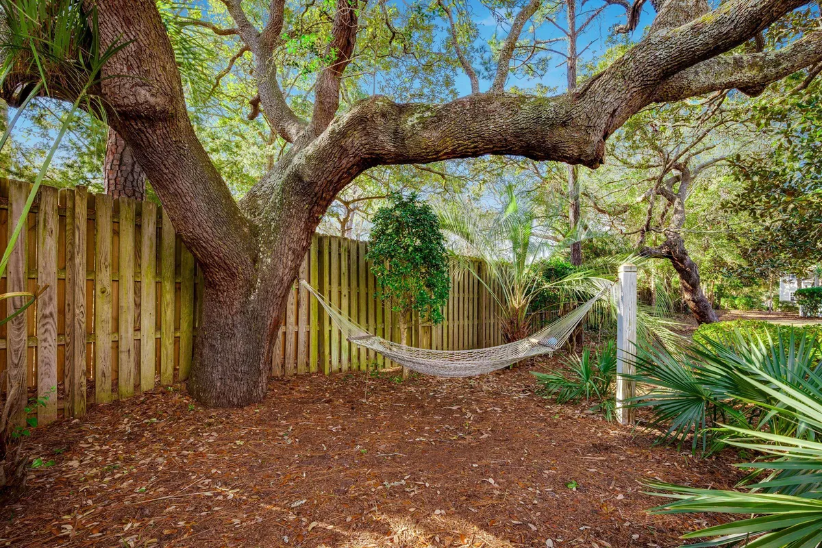 This image features a serene backyard scene with a hammock suspended between a large tree and a sturdy post. The fenced area is surrounded by lush palm plants and greenery, creating a secluded and peaceful vibe ideal for relaxation. The hammock is the clear focal point of the space, emphasizing tranquil moments spent outdoors.